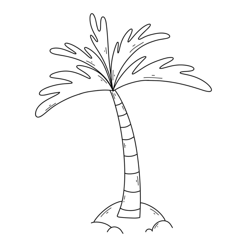 palma árbol en garabatear estilo. vector ilustración. lineal palma árbol. exótico árbol. Coco árbol.