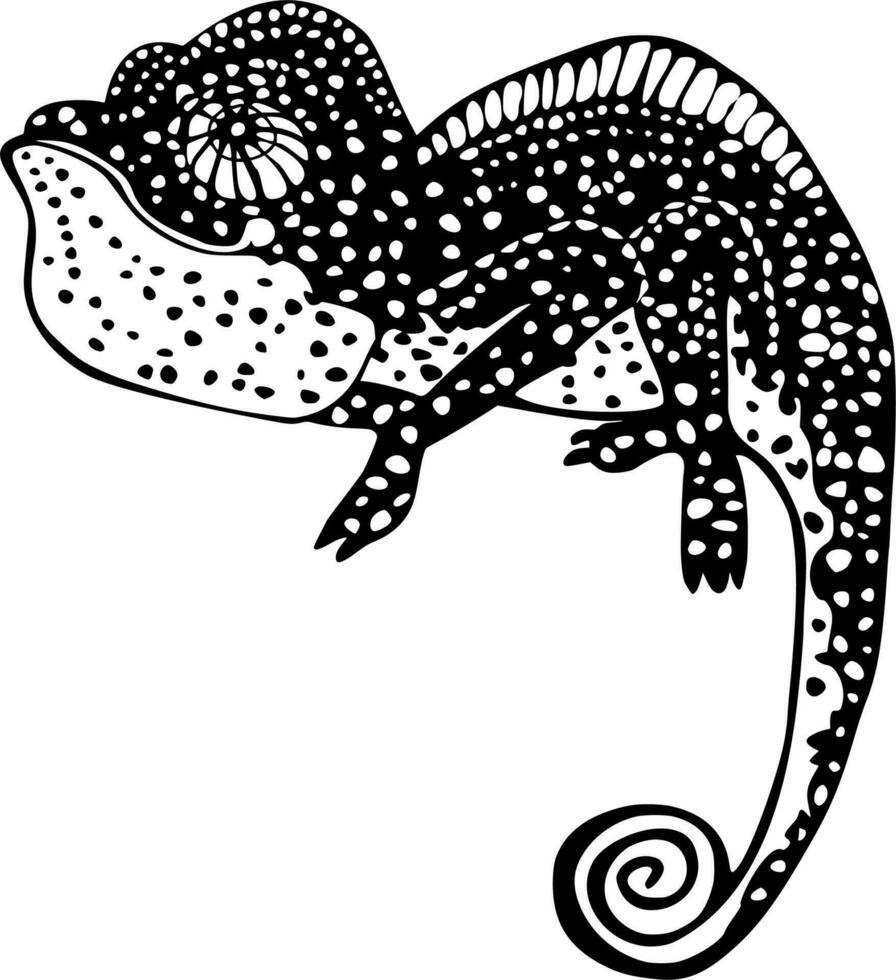 Vector silhouette of chameleon on white background