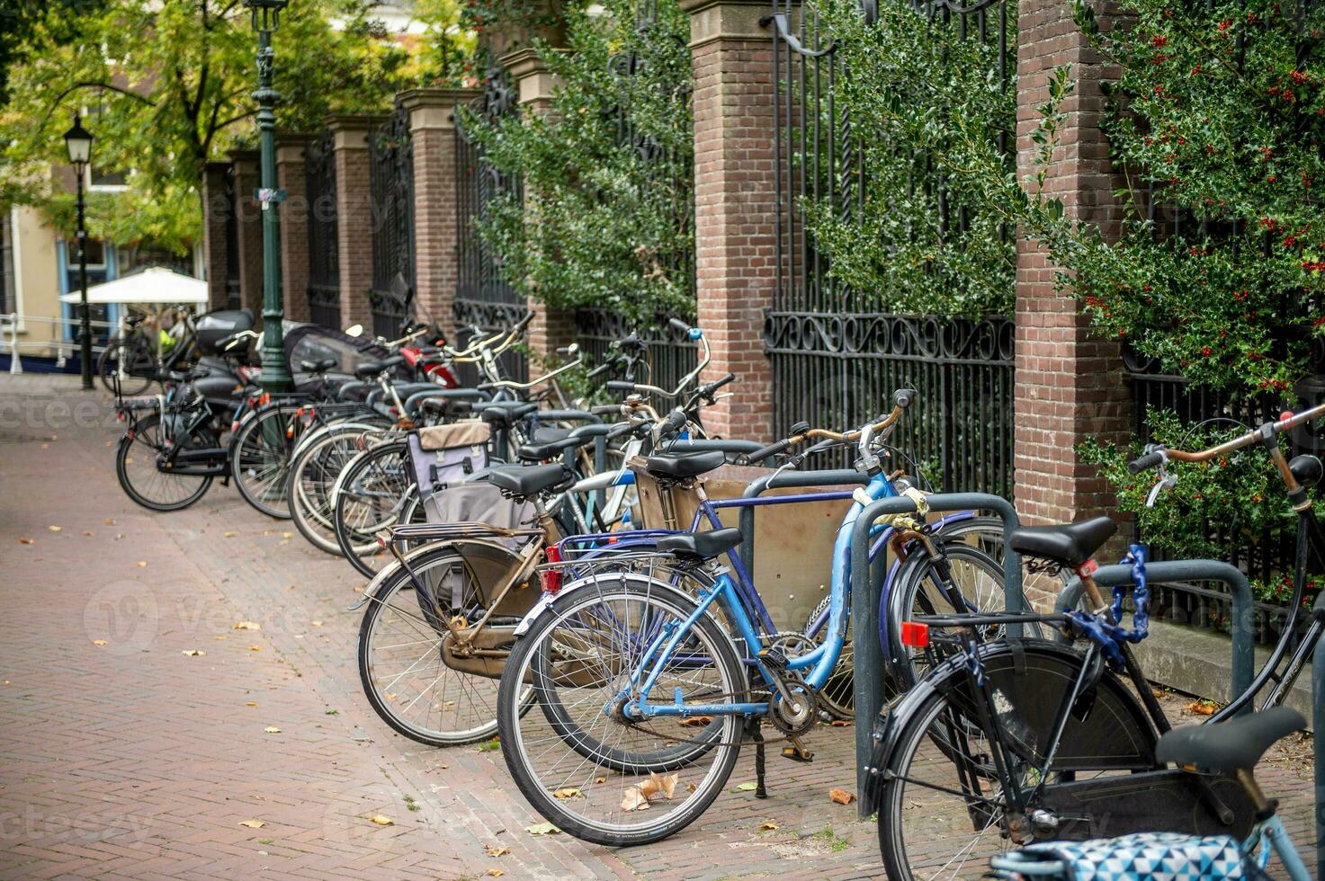 Lots of bikes are parked near the fence. Parking with bicycles on the street photo