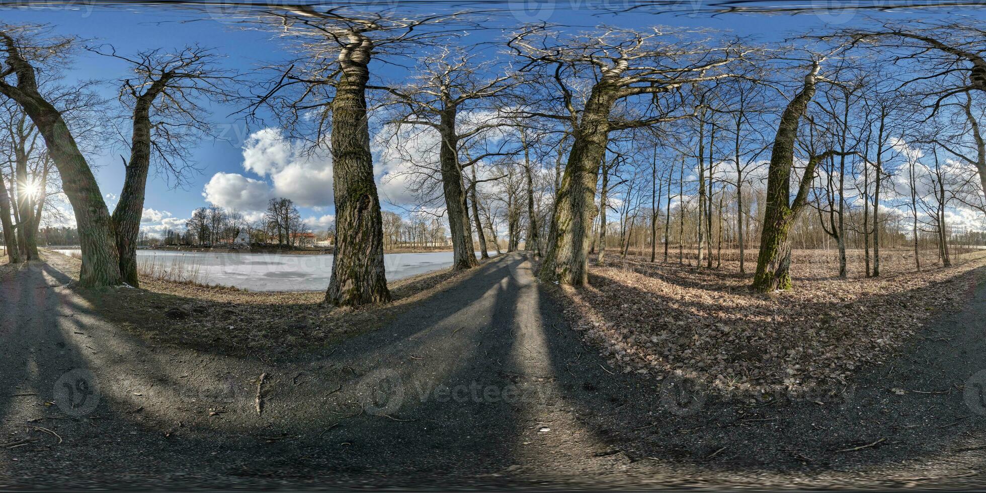 lleno sin costura esférico hdri 360 panorama ver en peatonal caminando camino entre roble arboleda con torpe ramas cerca lago en equirrectangular proyección con , Listo vr Arkansas contenido foto