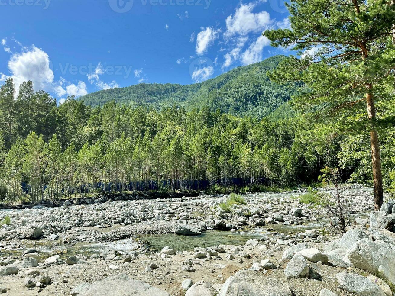montaña río fluido en un Valle en un bosque, buriatia, Rusia foto