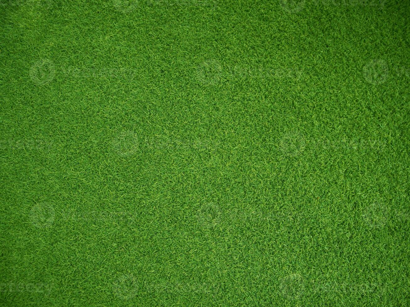 Green grass texture background grass garden concept used for making green background football pitch, Grass Golf, green lawn pattern textured background... photo