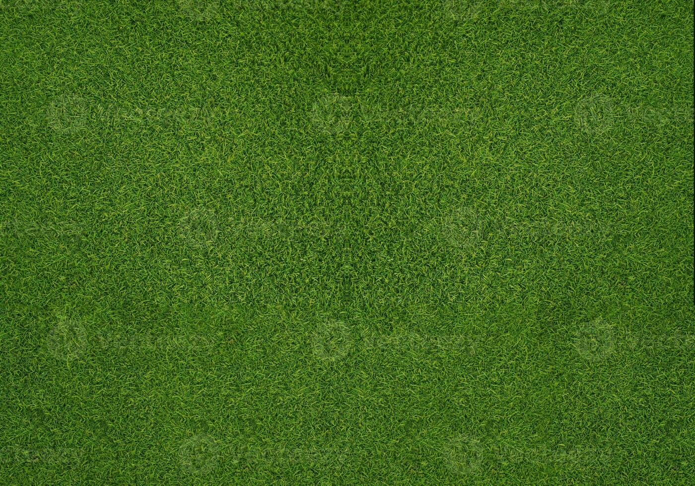 Green grass texture background grass garden concept used for making green background football pitch, Grass Golf, green lawn pattern textured background... photo