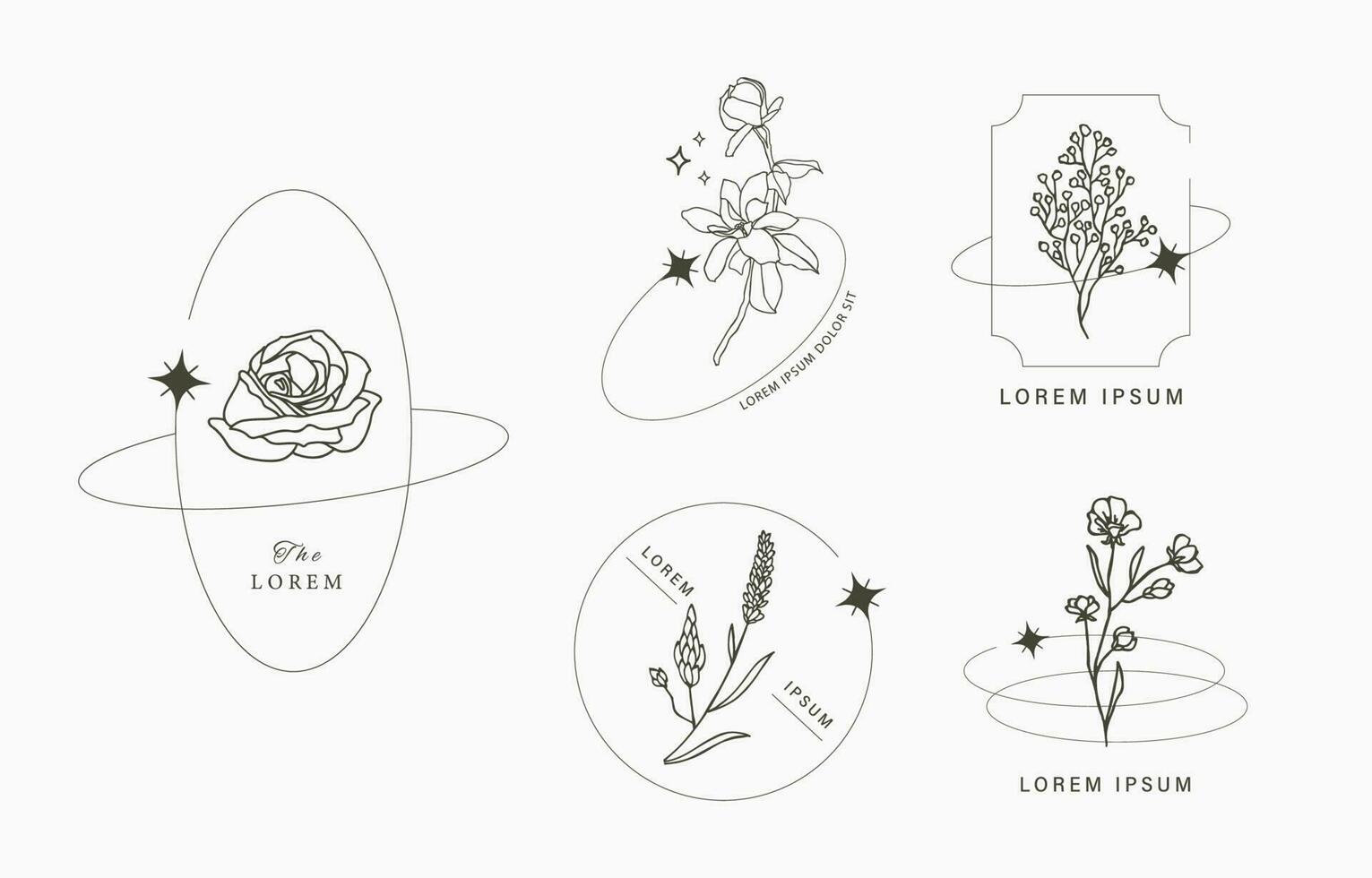 Line object collection with hand,magnolia,rose,lavender flower vector