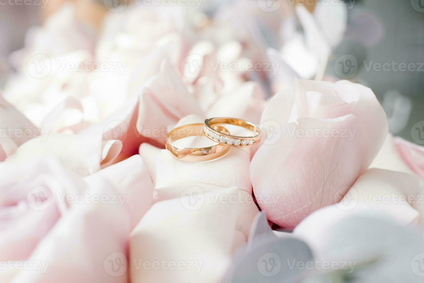 Gold wedding rings lie on delicate pink roses close-up photo