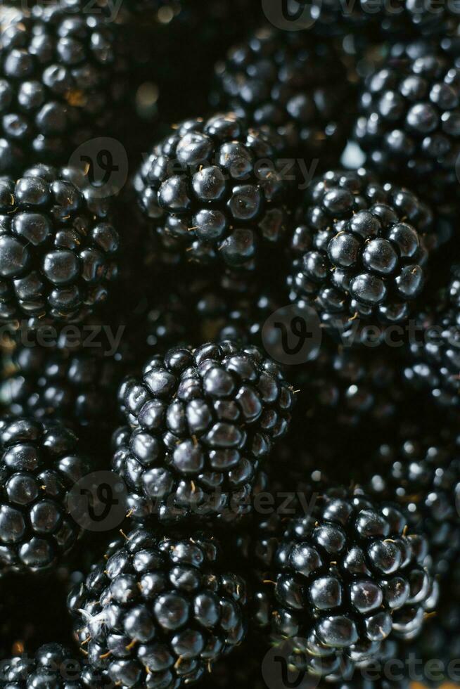 Background from fresh Blackberries, close up. Lot of ripe juicy wild fruit berries lying on the table photo