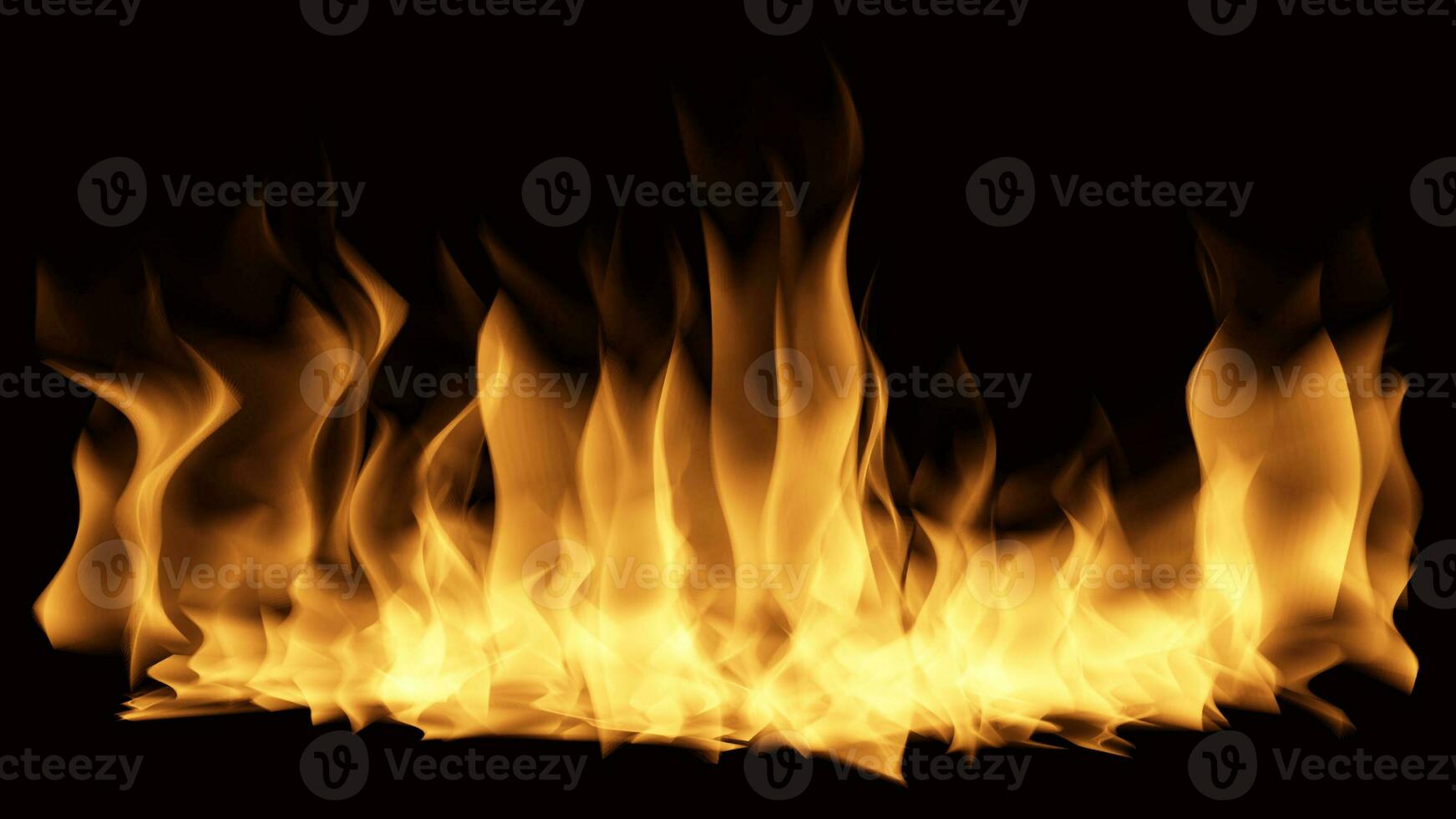 Flame of fire Burning on black background image photo