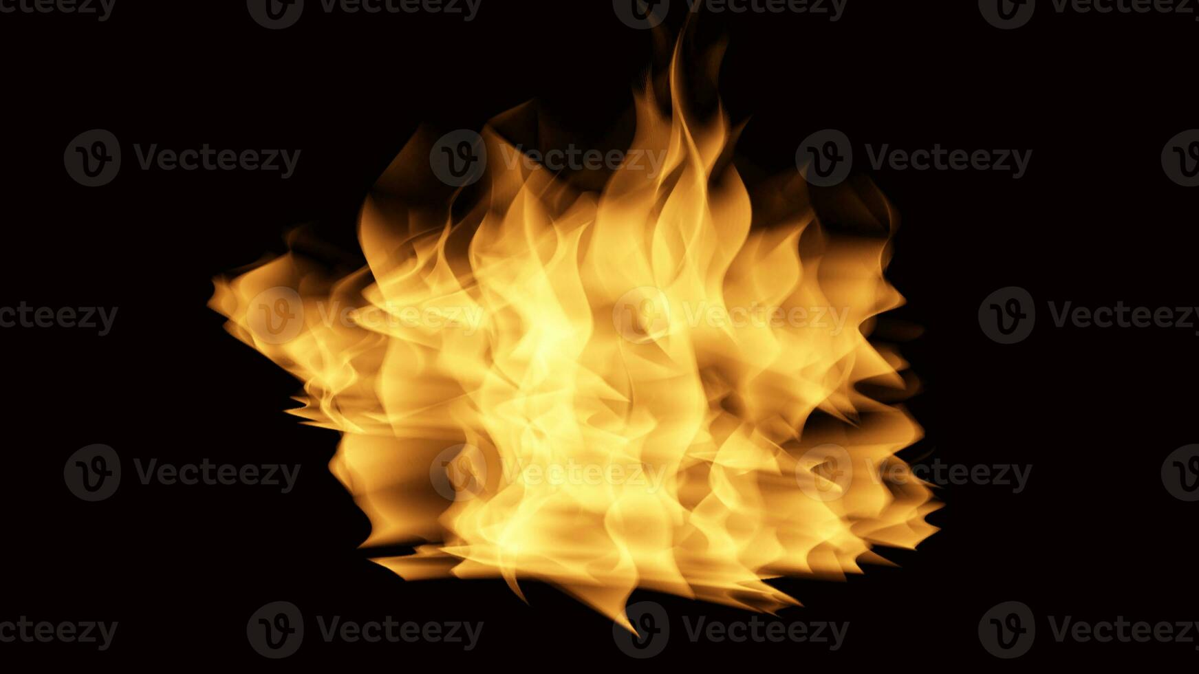 Flame of fire Burning on black background image photo