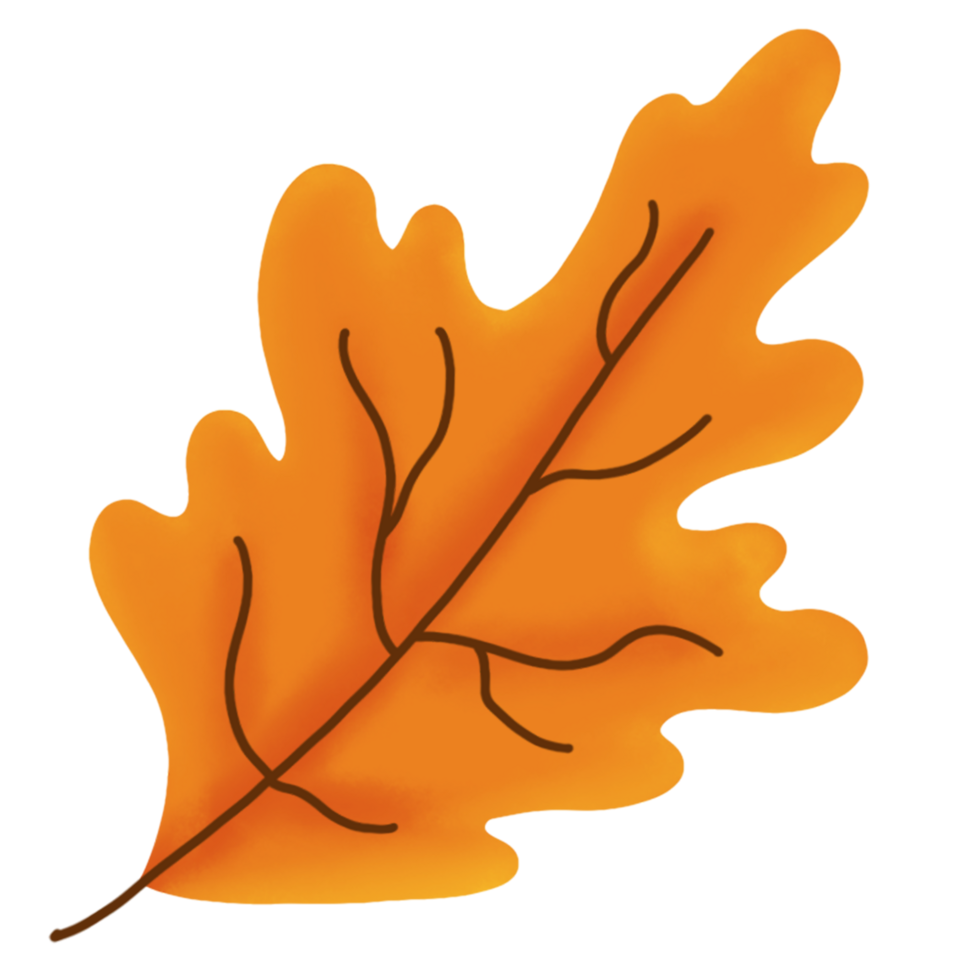 maple leaf illustration 23377472 PNG