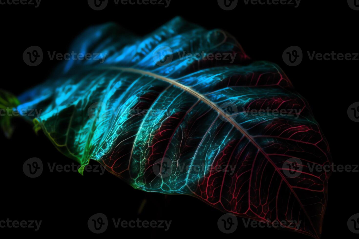 Tropical leaf est glow in the black light background high contrast. photo