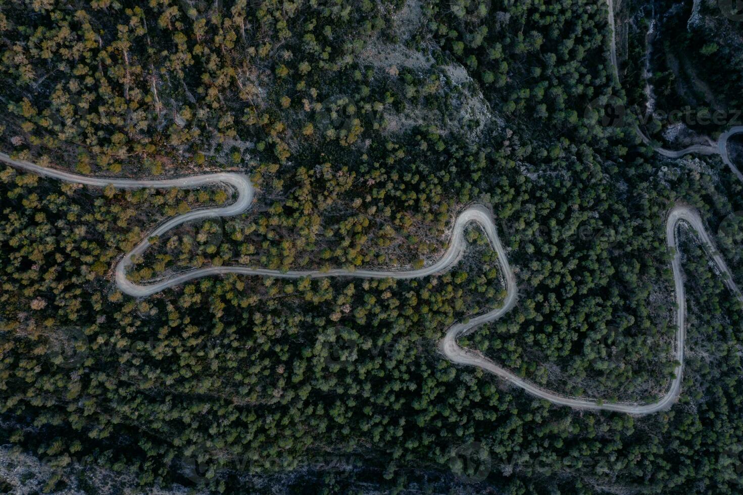 Aerial shot of a curvy road on a mountain in a forest photo