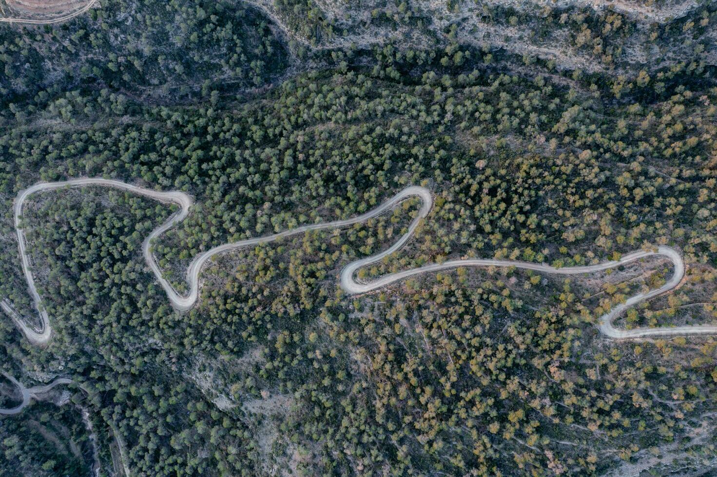 Aerial shot of a curvy road on a mountain in a forest photo