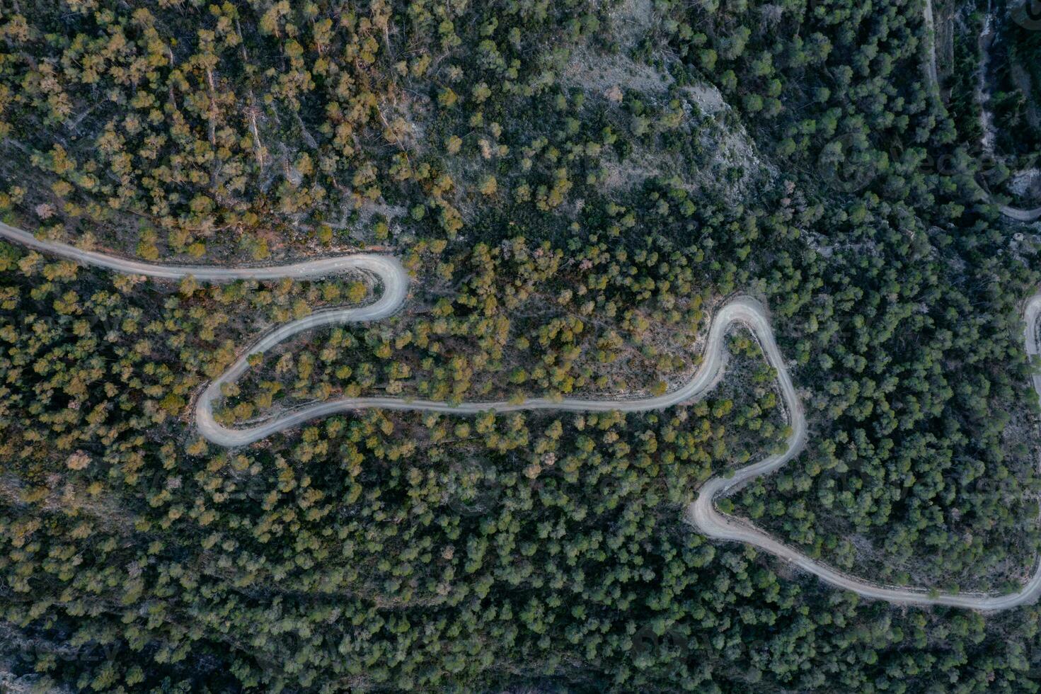 Aerial shot of a curvy road on a mountain in a forest photo
