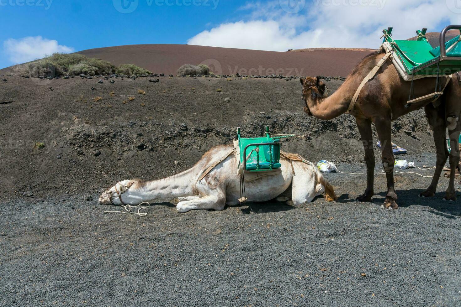 Timanfaya National Park photo