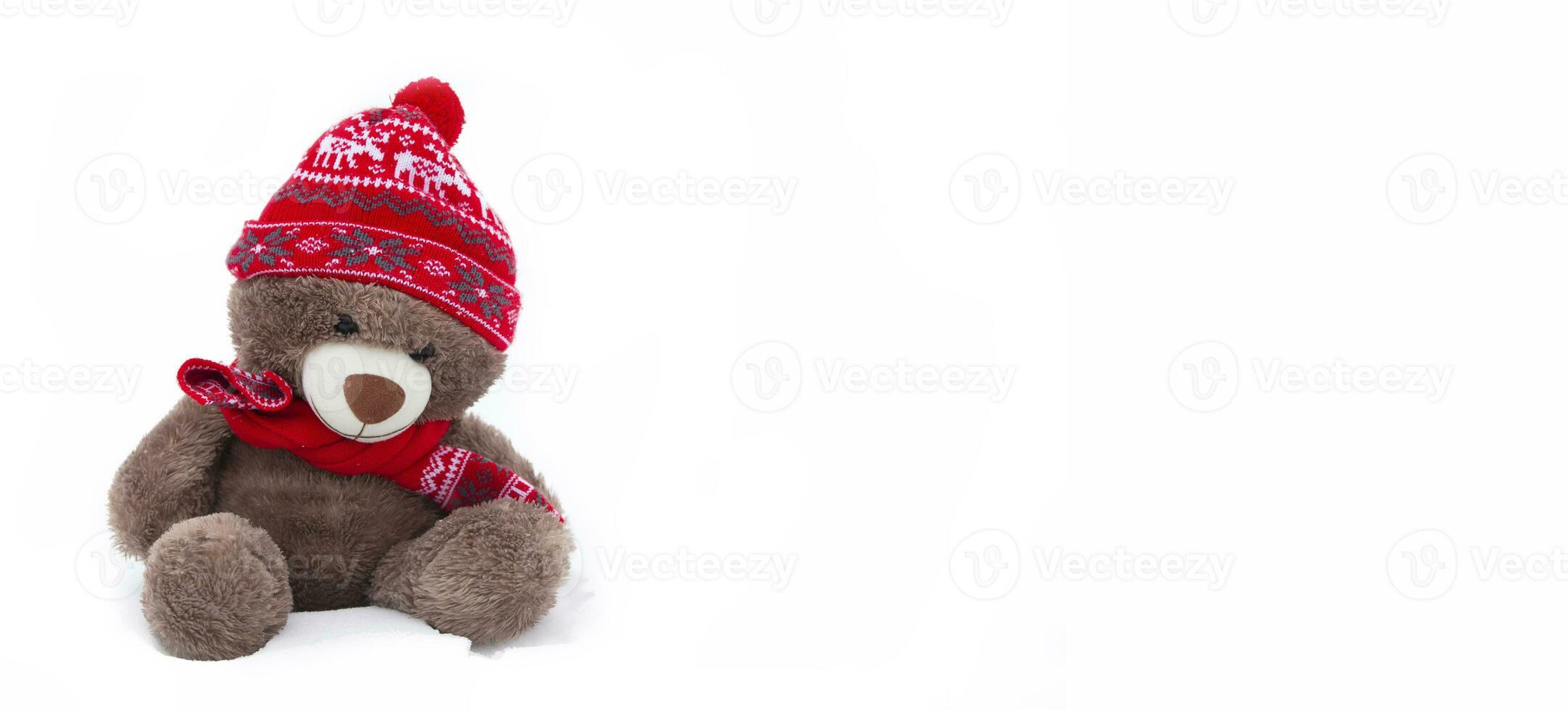 A toy fluffy bear in a winter hat on a white background. photo