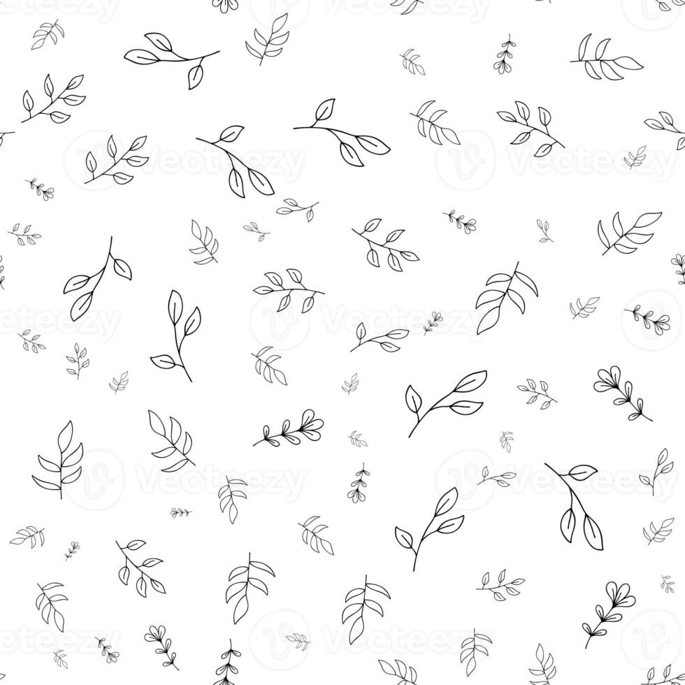 Bold Black hand drawn Floral spring  abstract seamless pattern on white background photo