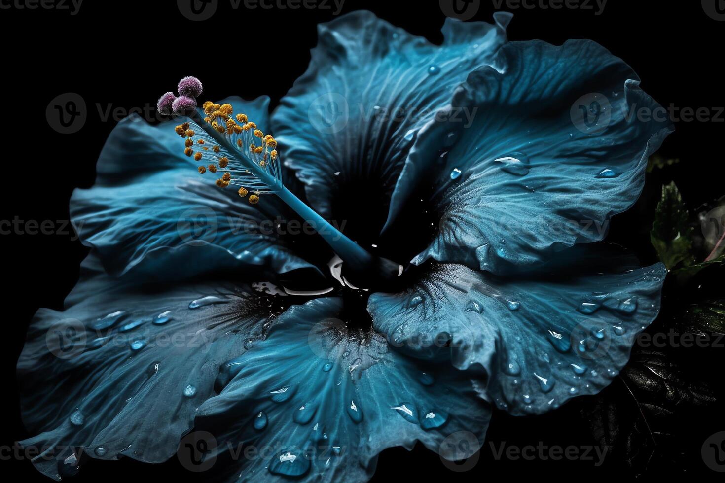 azul hibisco flor en negro fotografía. ai generado foto