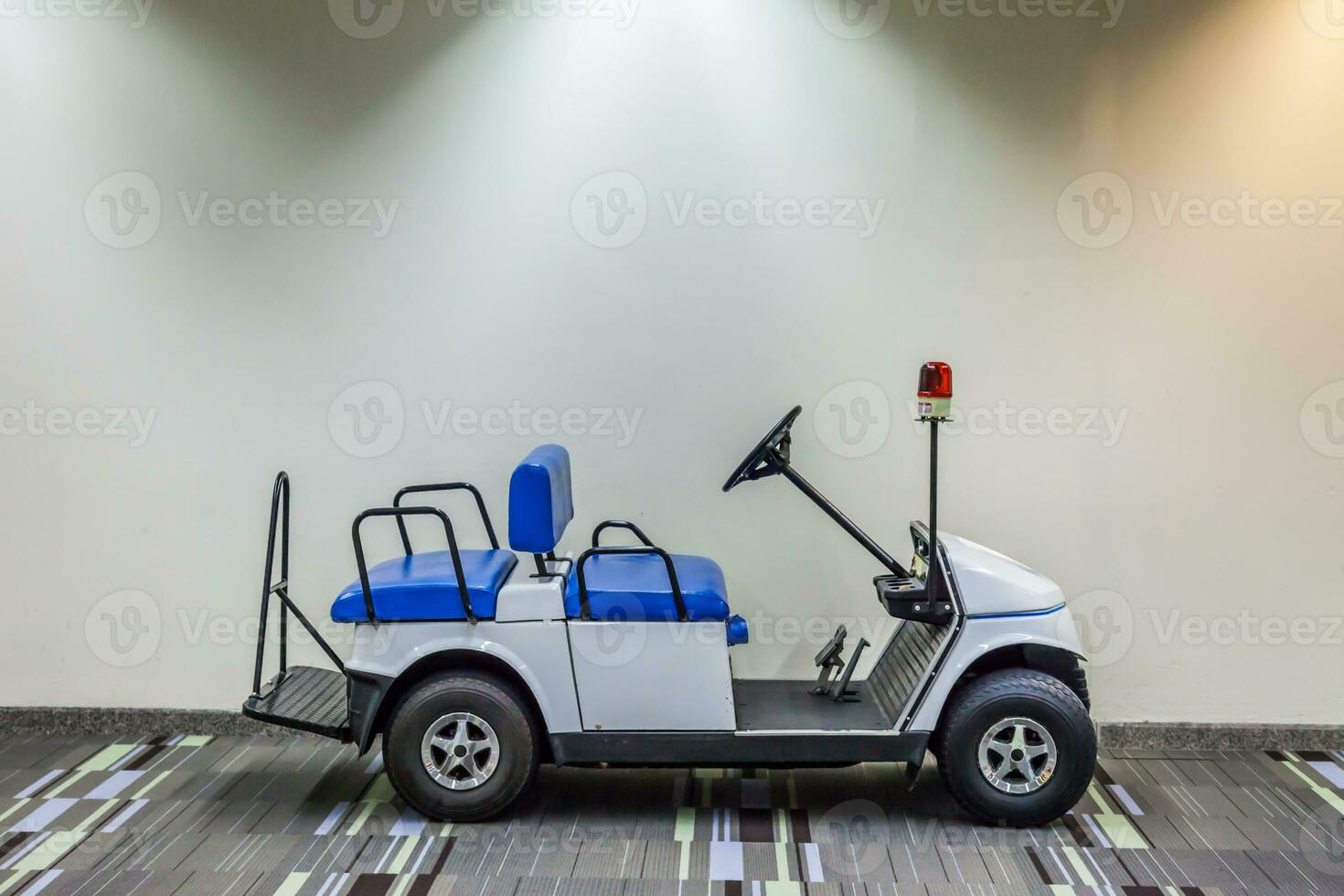 Electric Golf cart photo