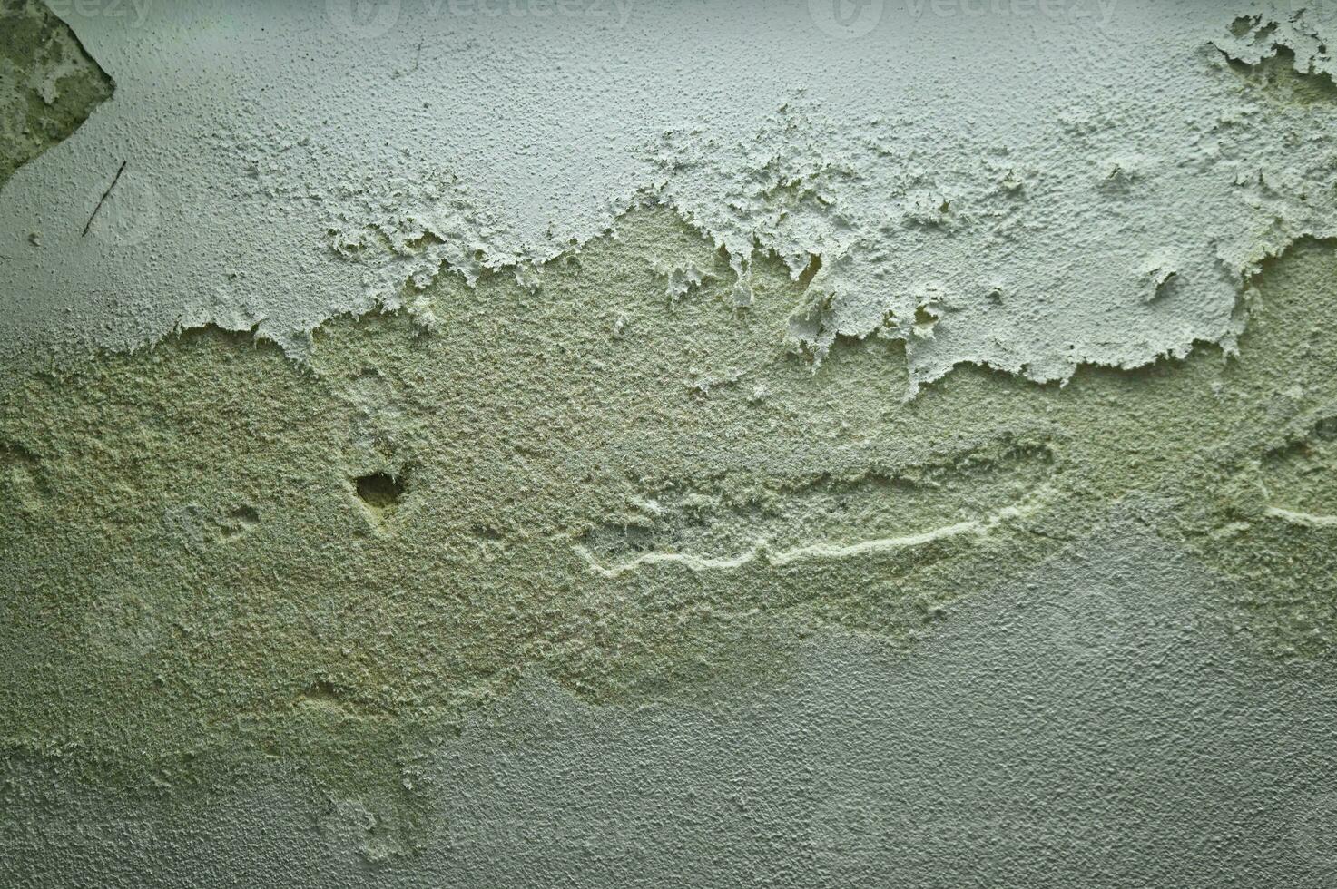 Mold on a damp basement wall photo