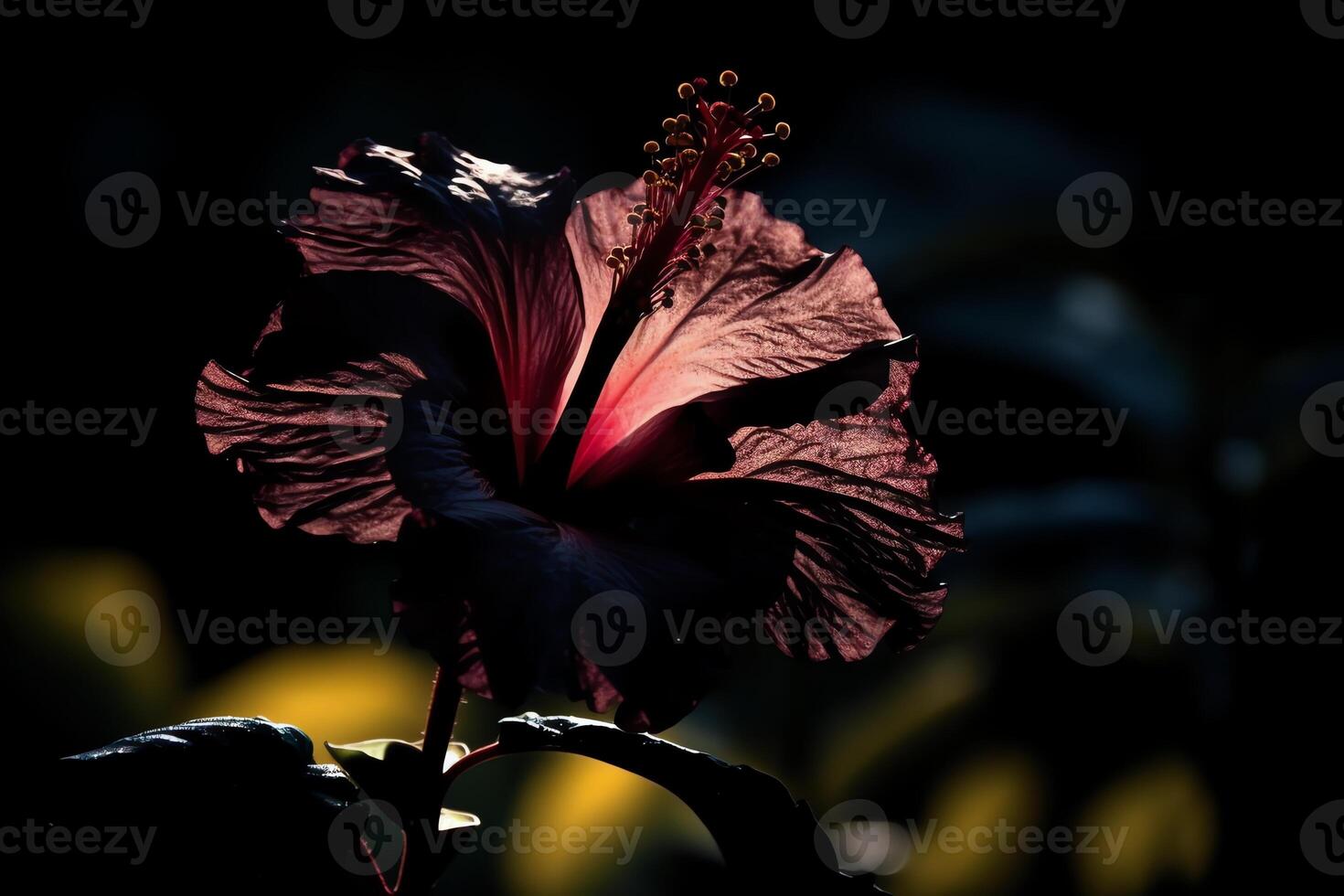 Silhouette of a hibiscus flower. photo