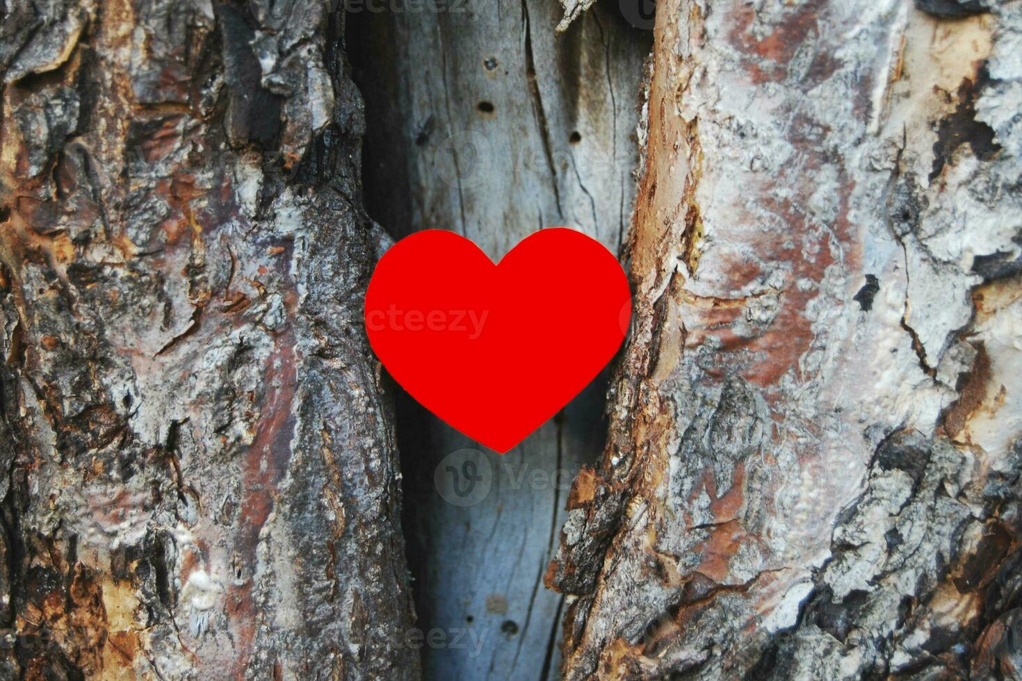 Red heart in old tree hollow, closeup photo