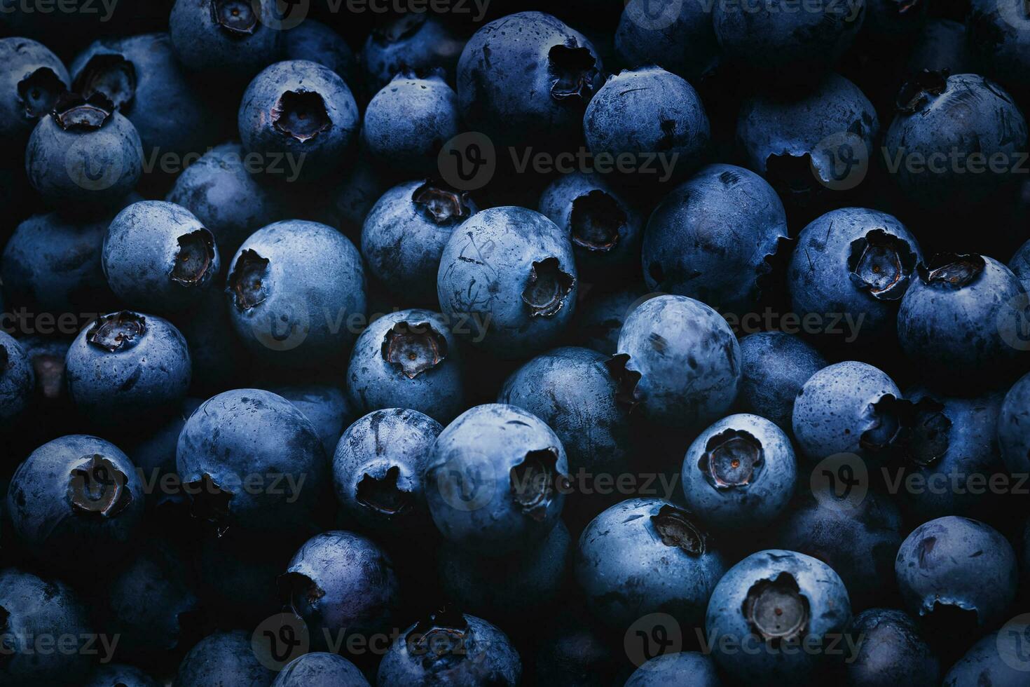 Blueberry dark background with shadows and light photo