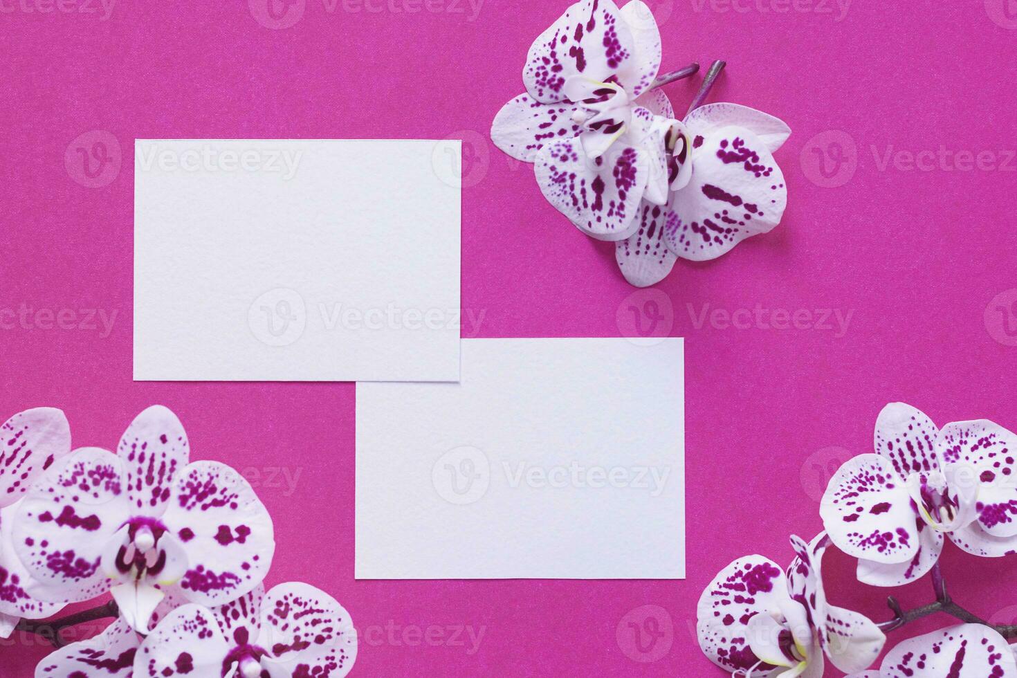 bright pink mockup for design with white frames and orchids photo