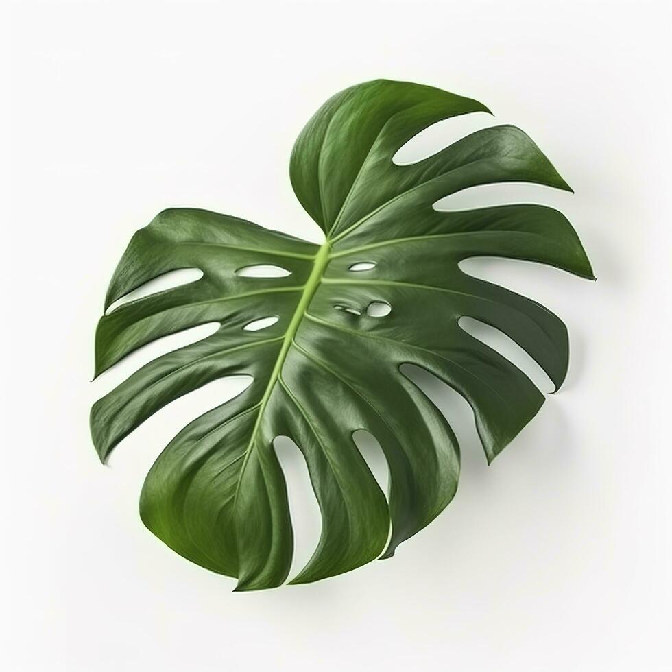 monster leaf isolated on white background, generate ai photo
