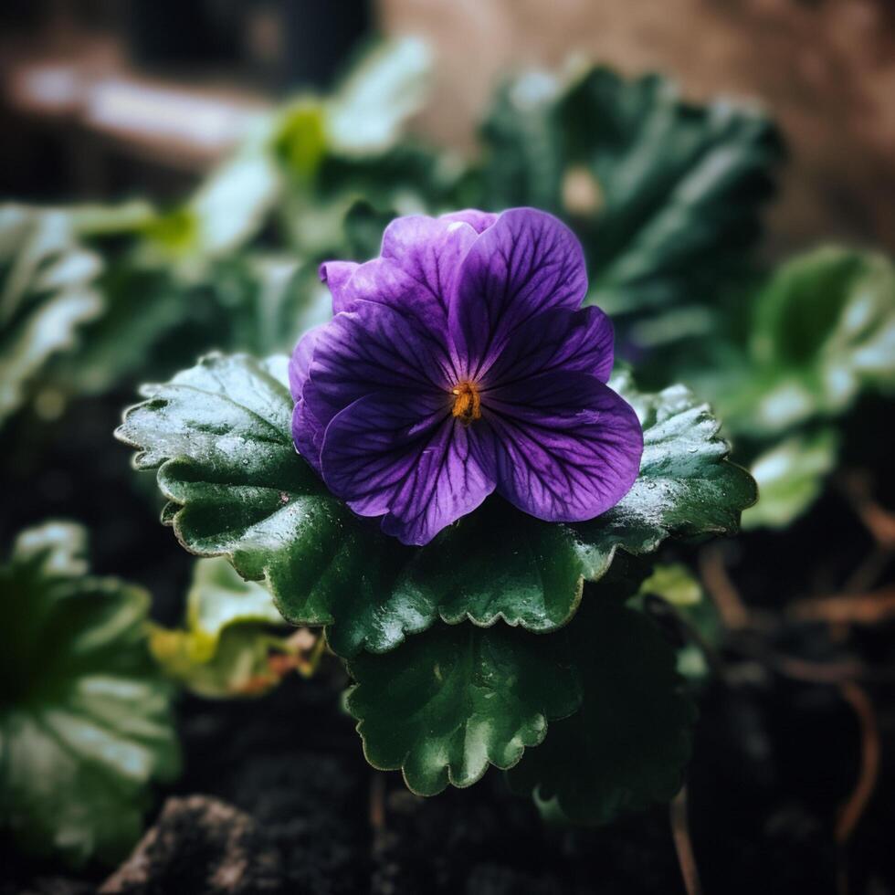 A purple flower with a green leaf on it photo