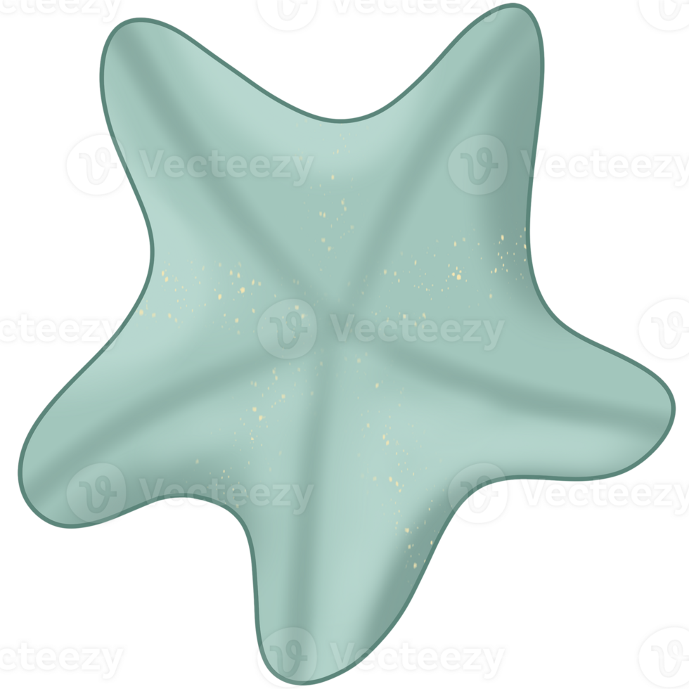 Watercolor Summer  beach stuff png