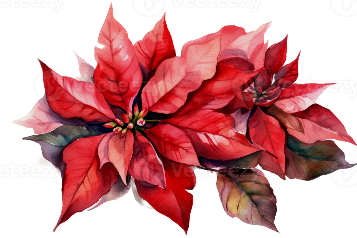 Beautiful flower with leaf watercolor AI Generate png