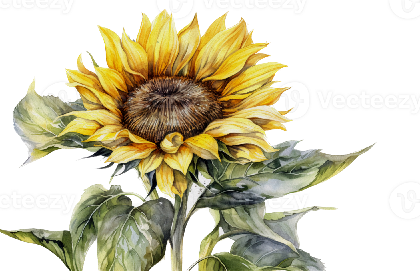 mooi bloem met blad waterverf ai genereren png