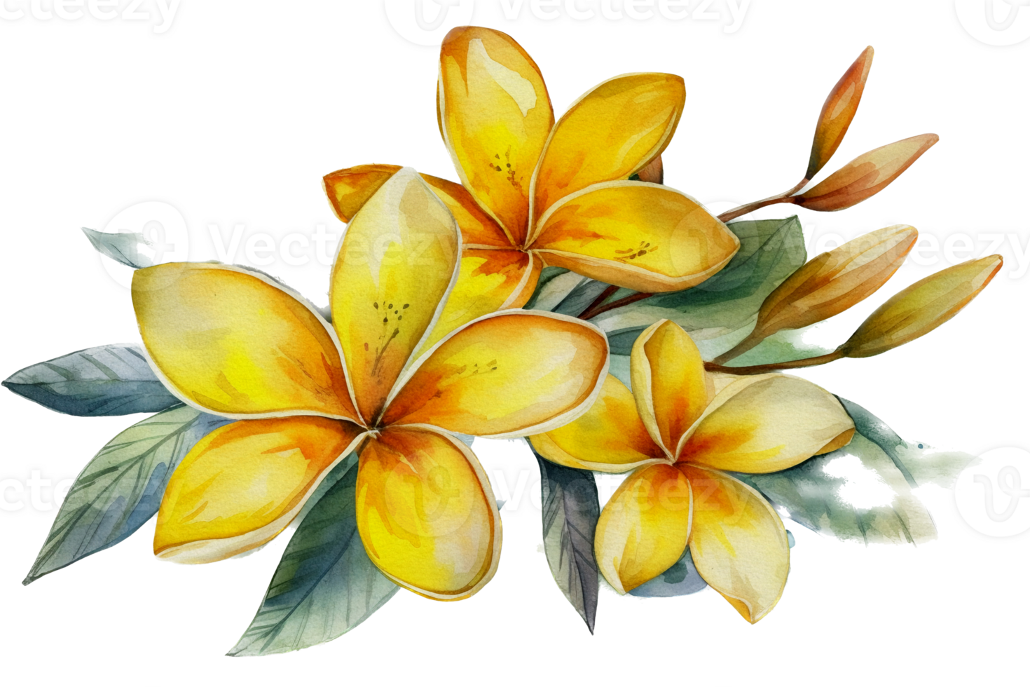 Beautiful flower with leaf watercolor AI Generate png