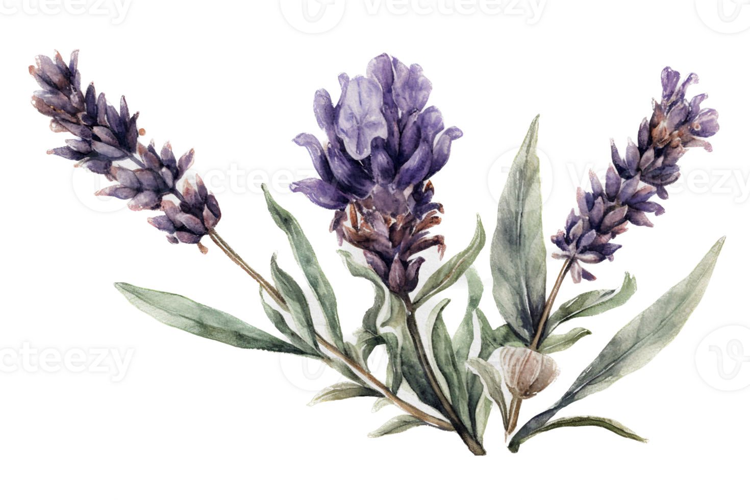 Flower with leaf watercolor AI Generate png