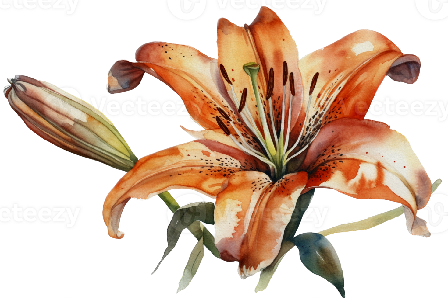 fleur avec feuille aquarelle ai produire png