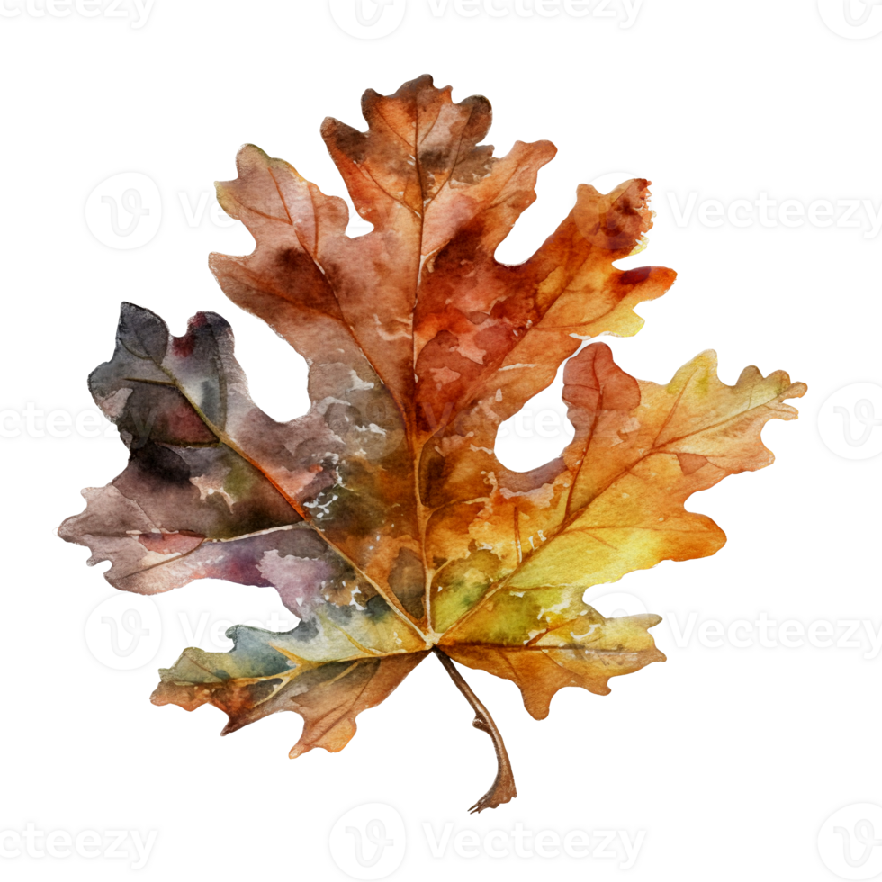 Beautiful autumn leaf watercolor ai generate png