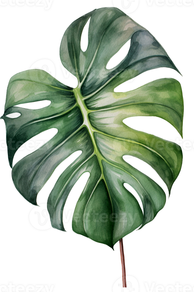 Tropical leaf watercolor ai generate png
