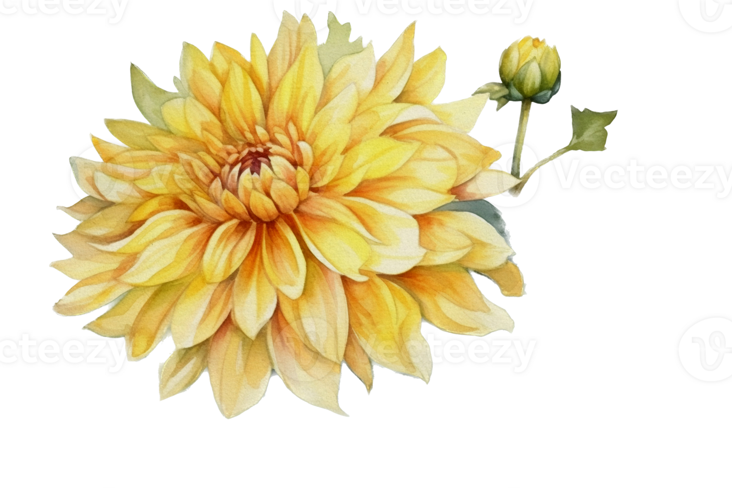 Beautiful flower with leaf watercolor AI Generate png