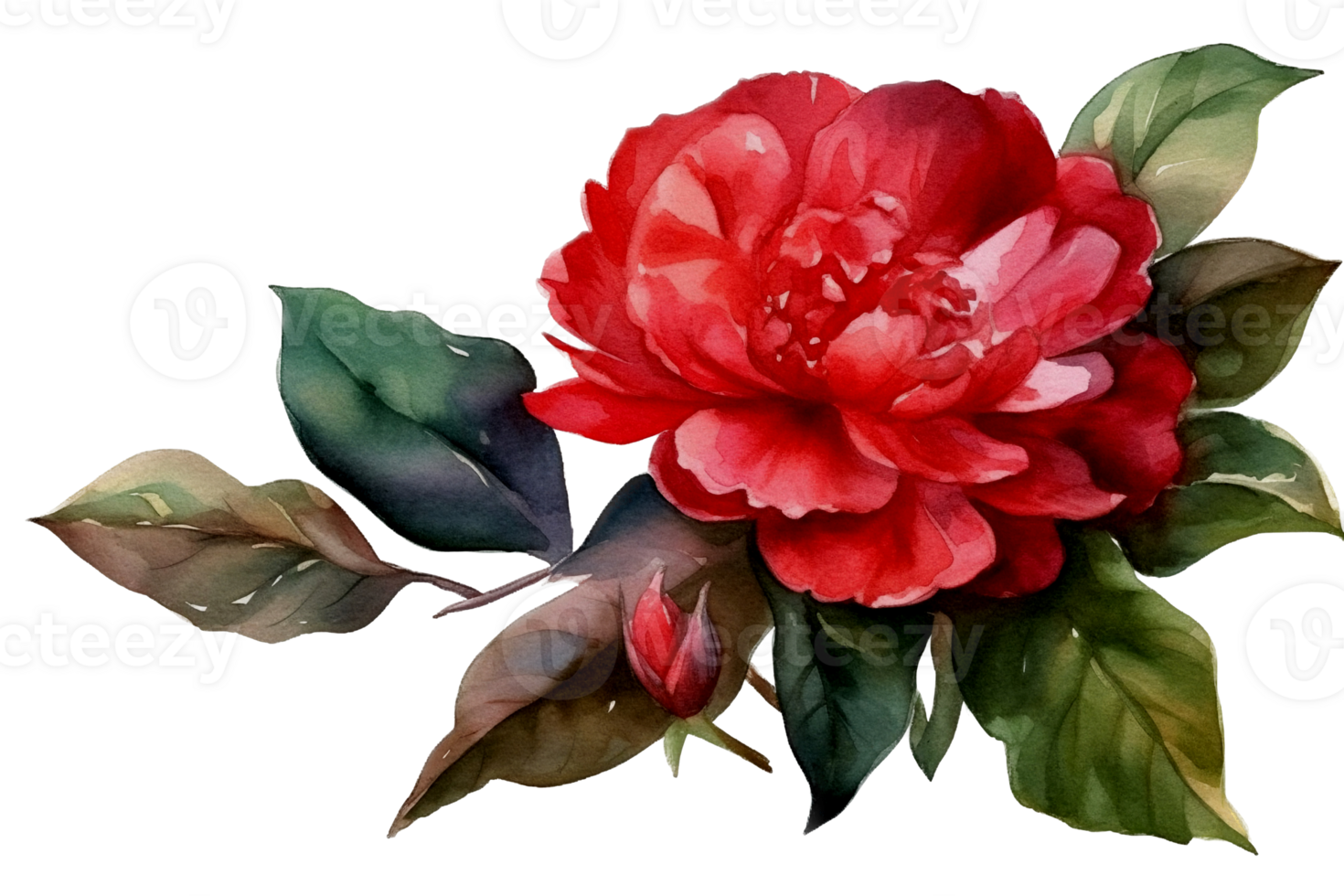 Beautiful flower with leaf watercolor AI Generate png