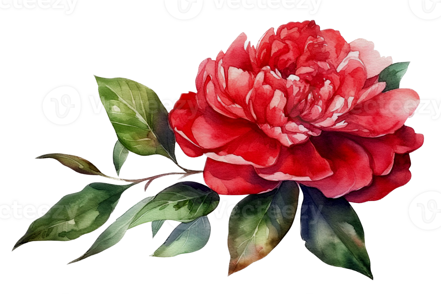 Beautiful flower with leaf watercolor AI Generate png