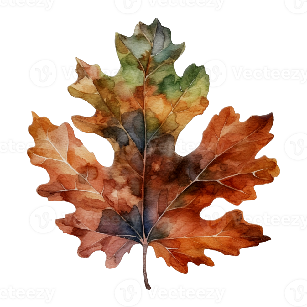 Beautiful autumn leaf watercolor ai generate png