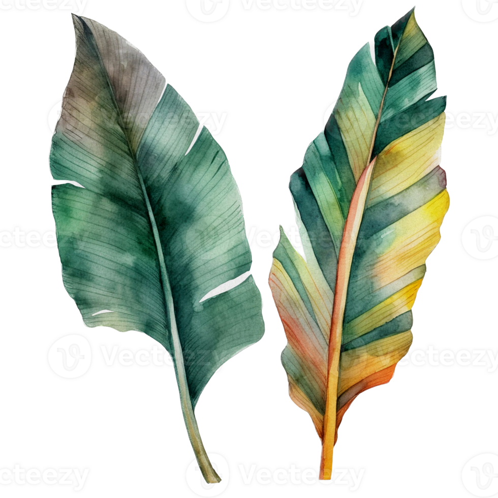 Tropical leaf watercolor ai generate png