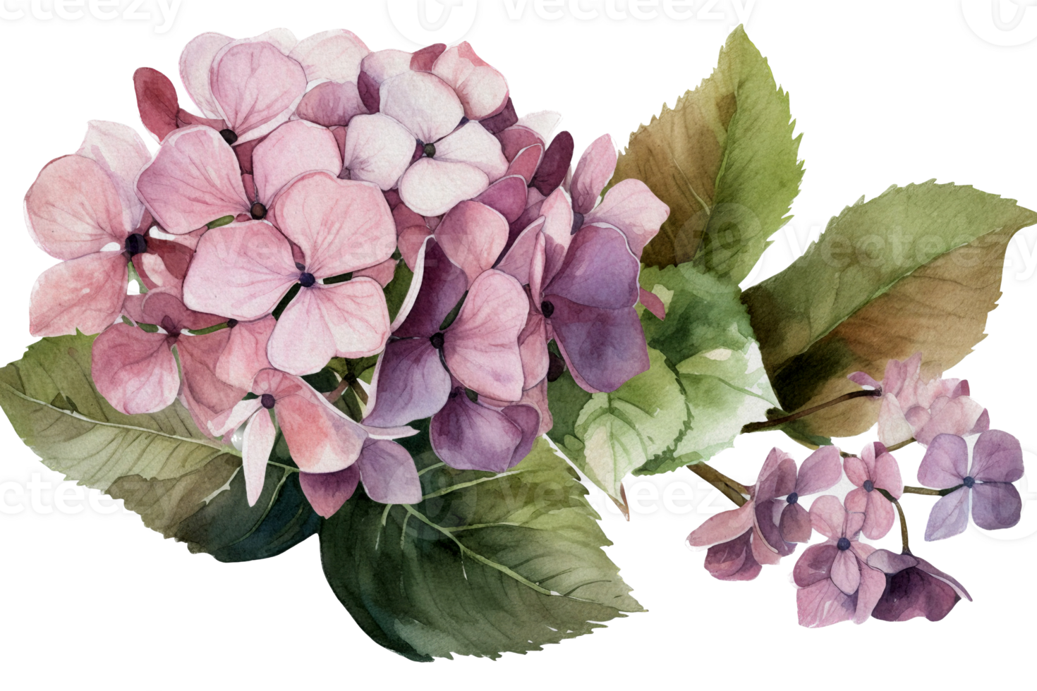 Beautiful flower with leaf watercolor ai generate png