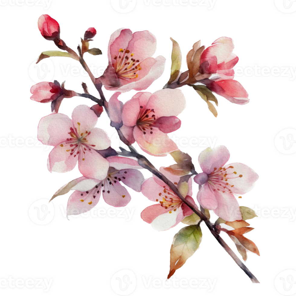Beautiful flower with leaf watercolor ai generate png