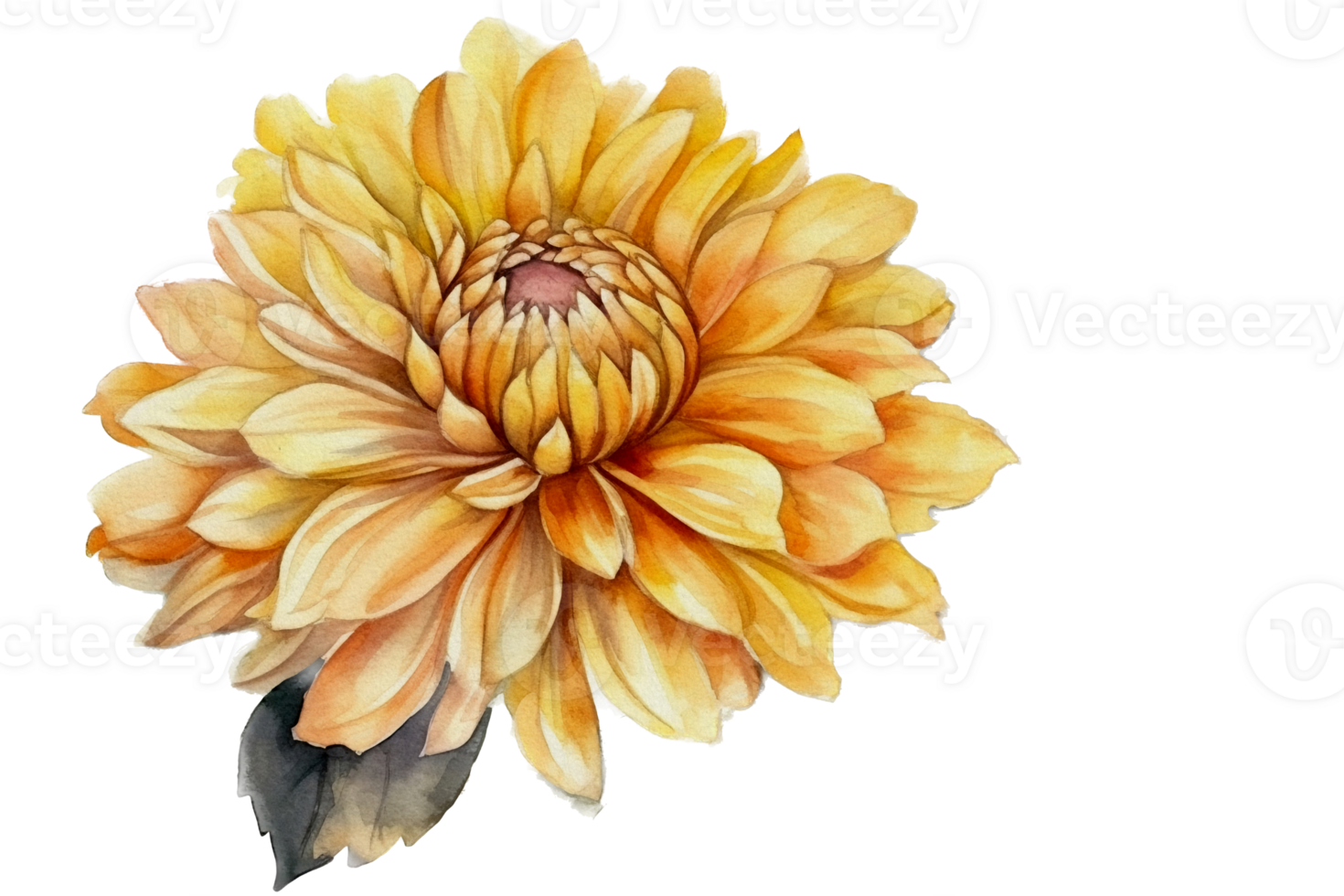 Beautiful flower with leaf watercolor AI Generate png