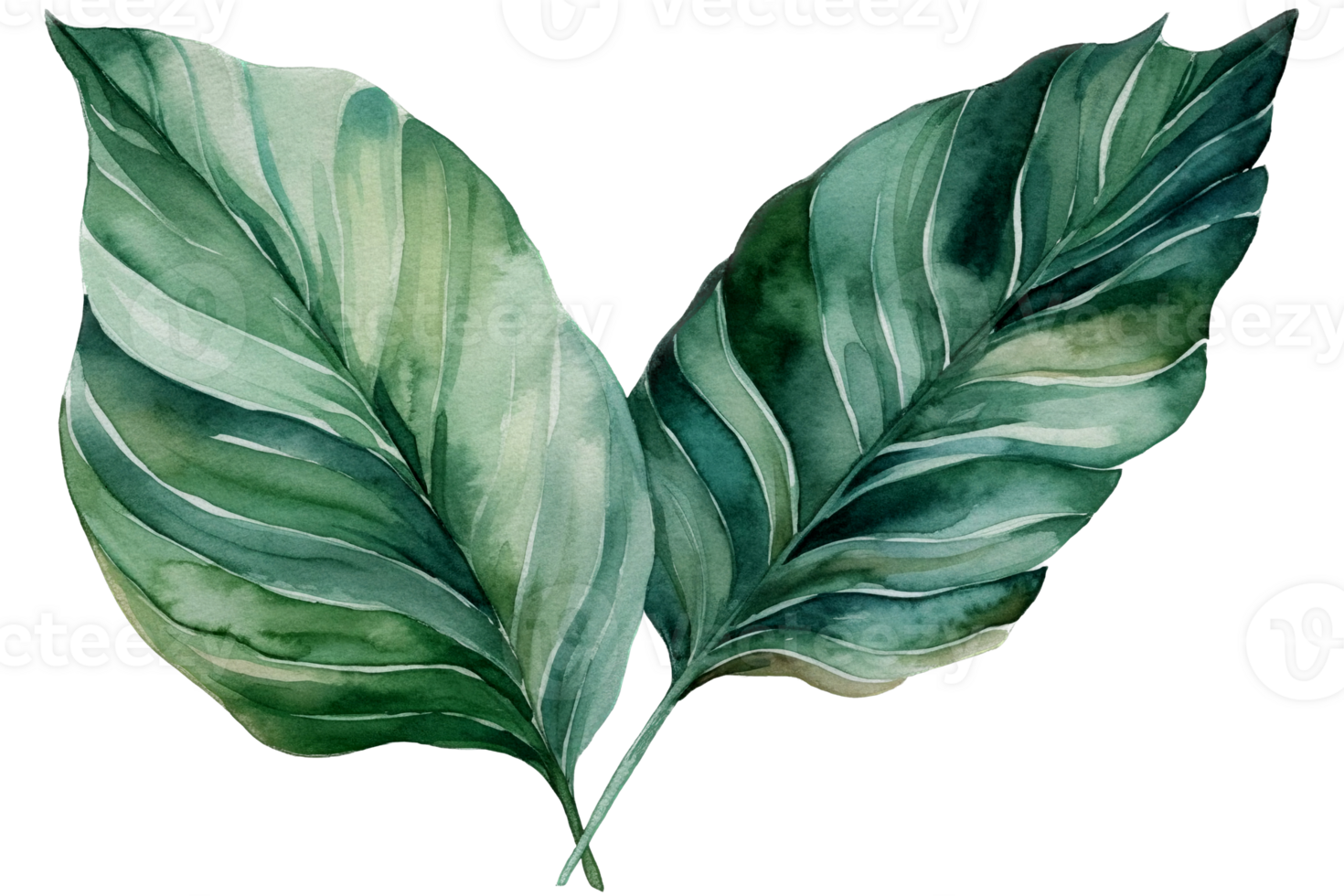 Green leaf watercolor AI Generate png