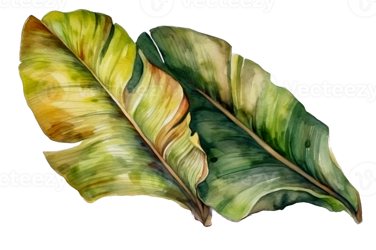 Green leaf watercolor AI Generate png