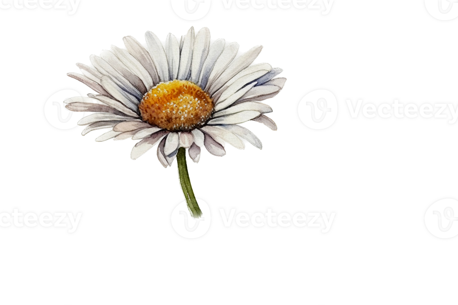 Flower with leaf watercolor AI Generate png