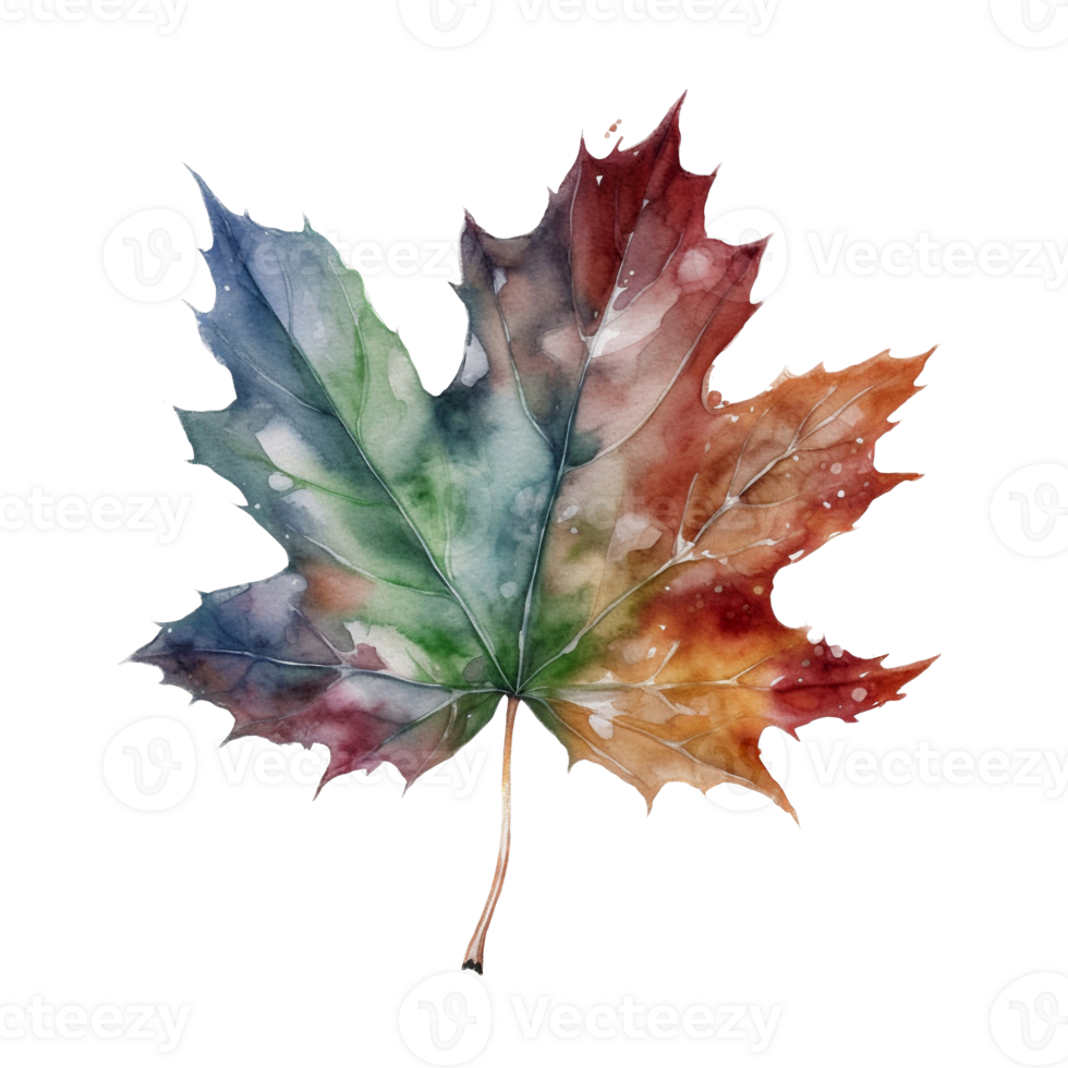 Beautiful autumn leaf watercolor ai generate png