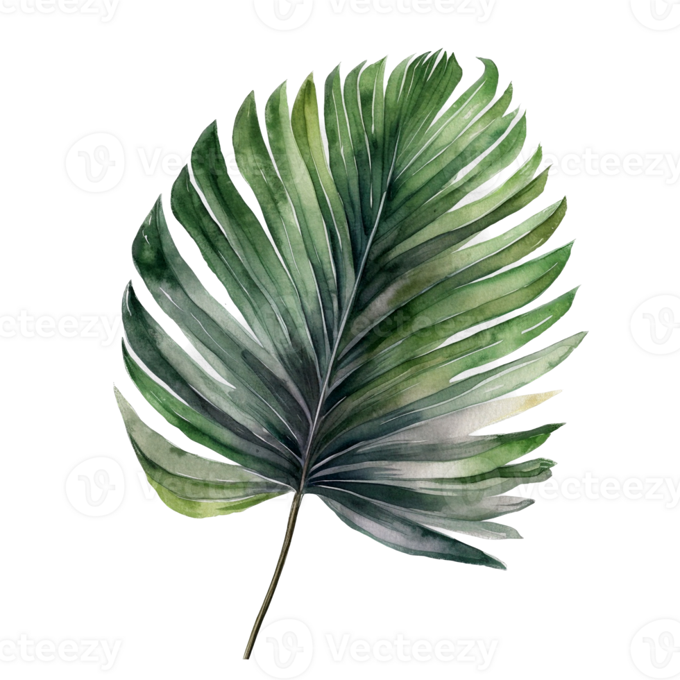 Tropical leaf watercolor ai generate png